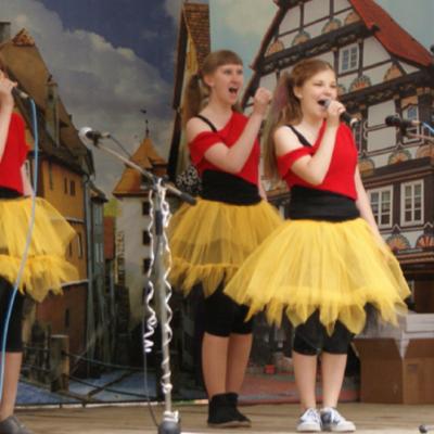 Werner2012 32