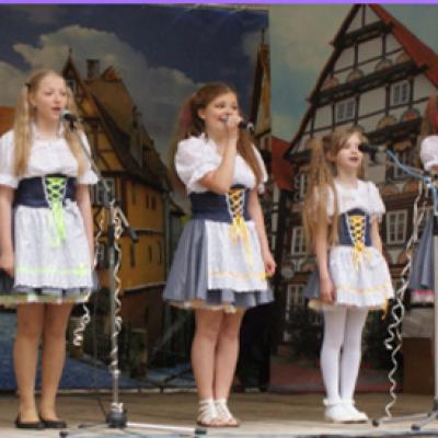 Werner2012 39