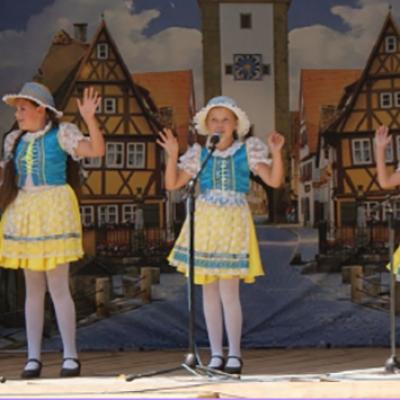 Werner2012 43
