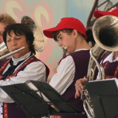 Werner2012 46
