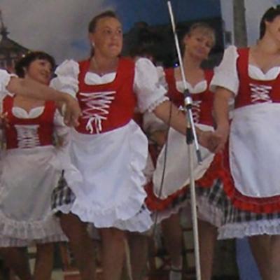 Werner2012 56