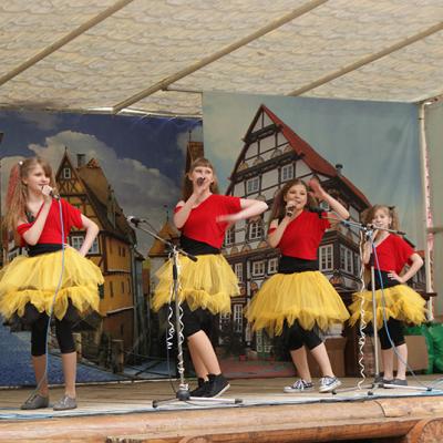 Werner 2013 17